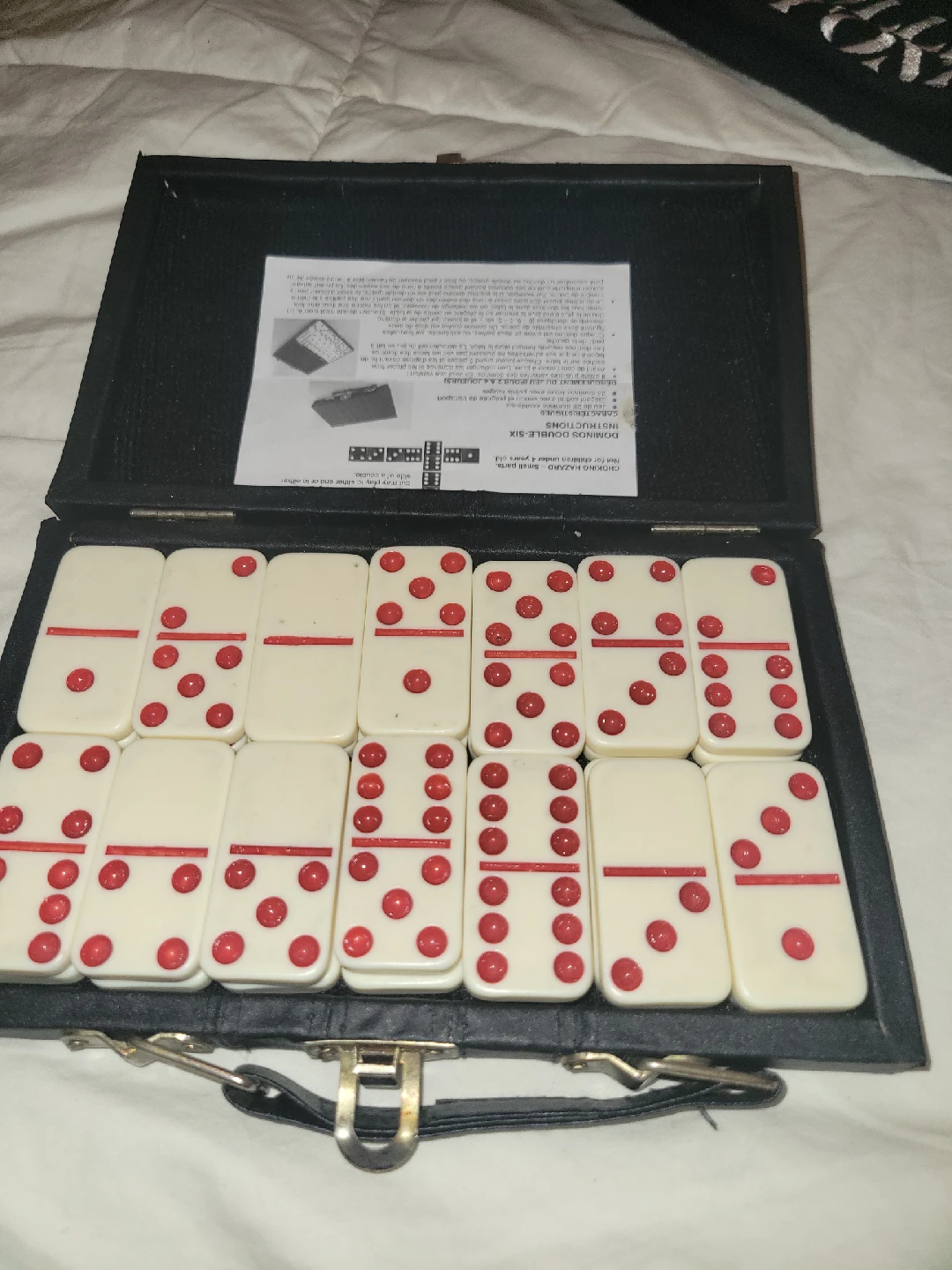 Double-Six Dominoes Set in Case