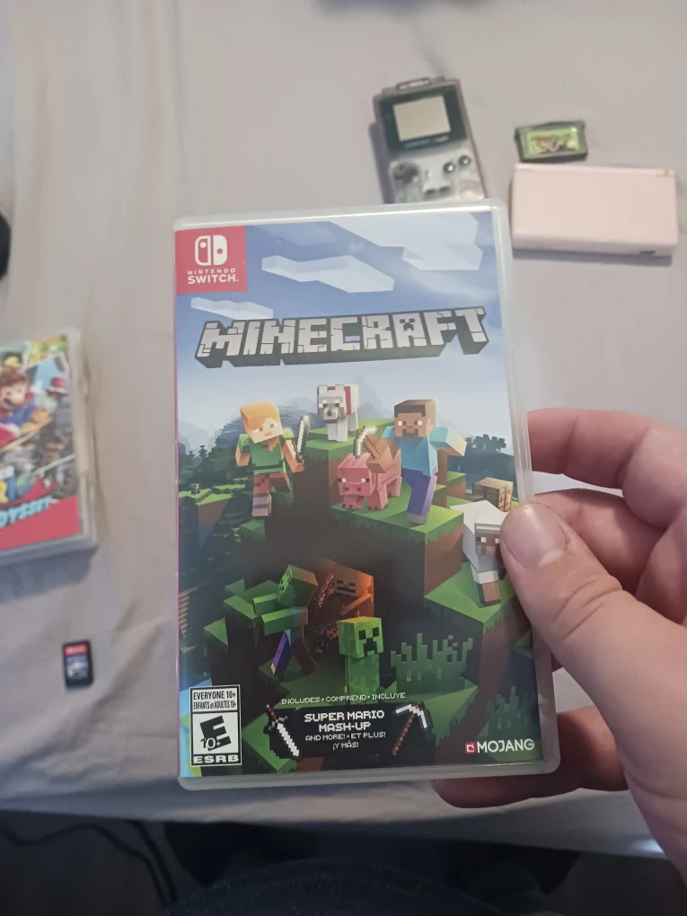 Nintendo Switch Games: Zelda, Mario, Minecraft