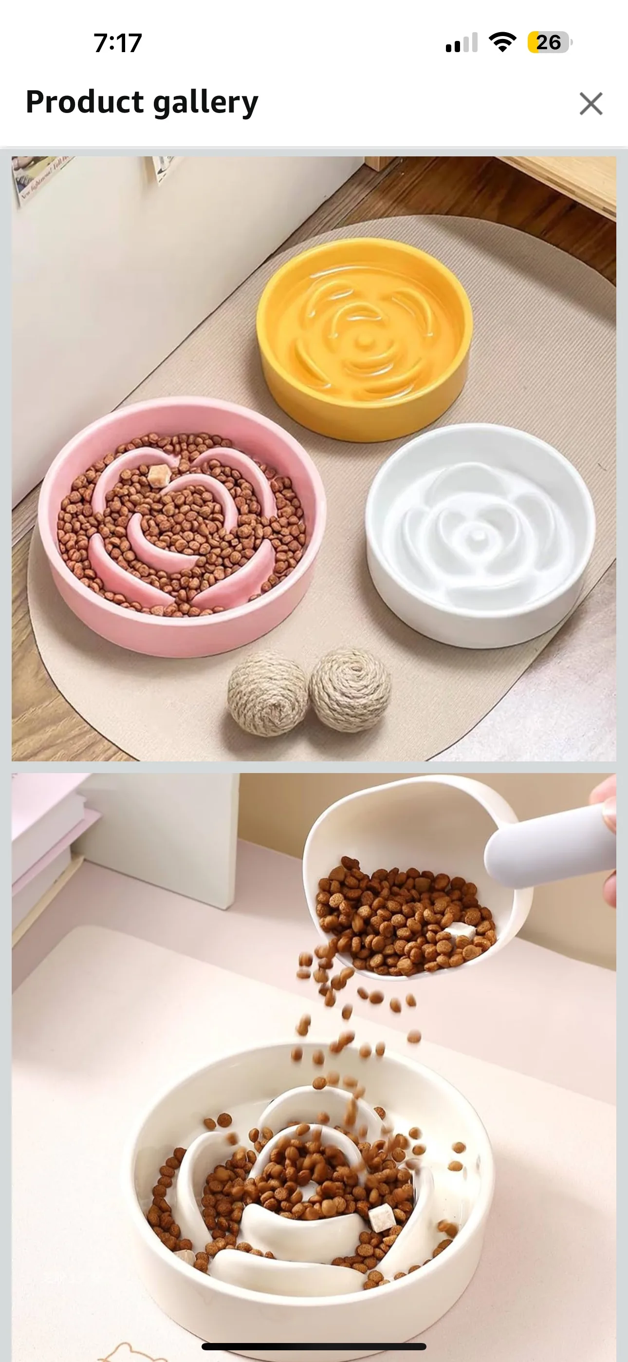 Slow feeder bowl for dogs image indicator(2)