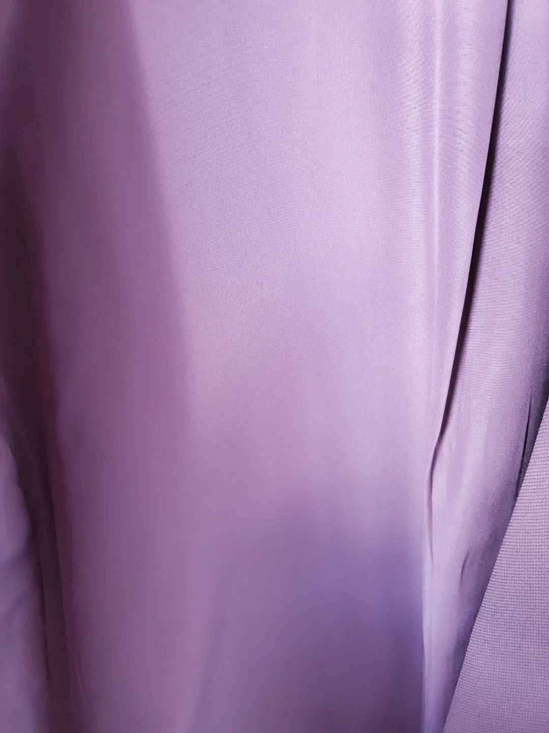 H&M Blazer - Size L - Mauve image indicator(4)