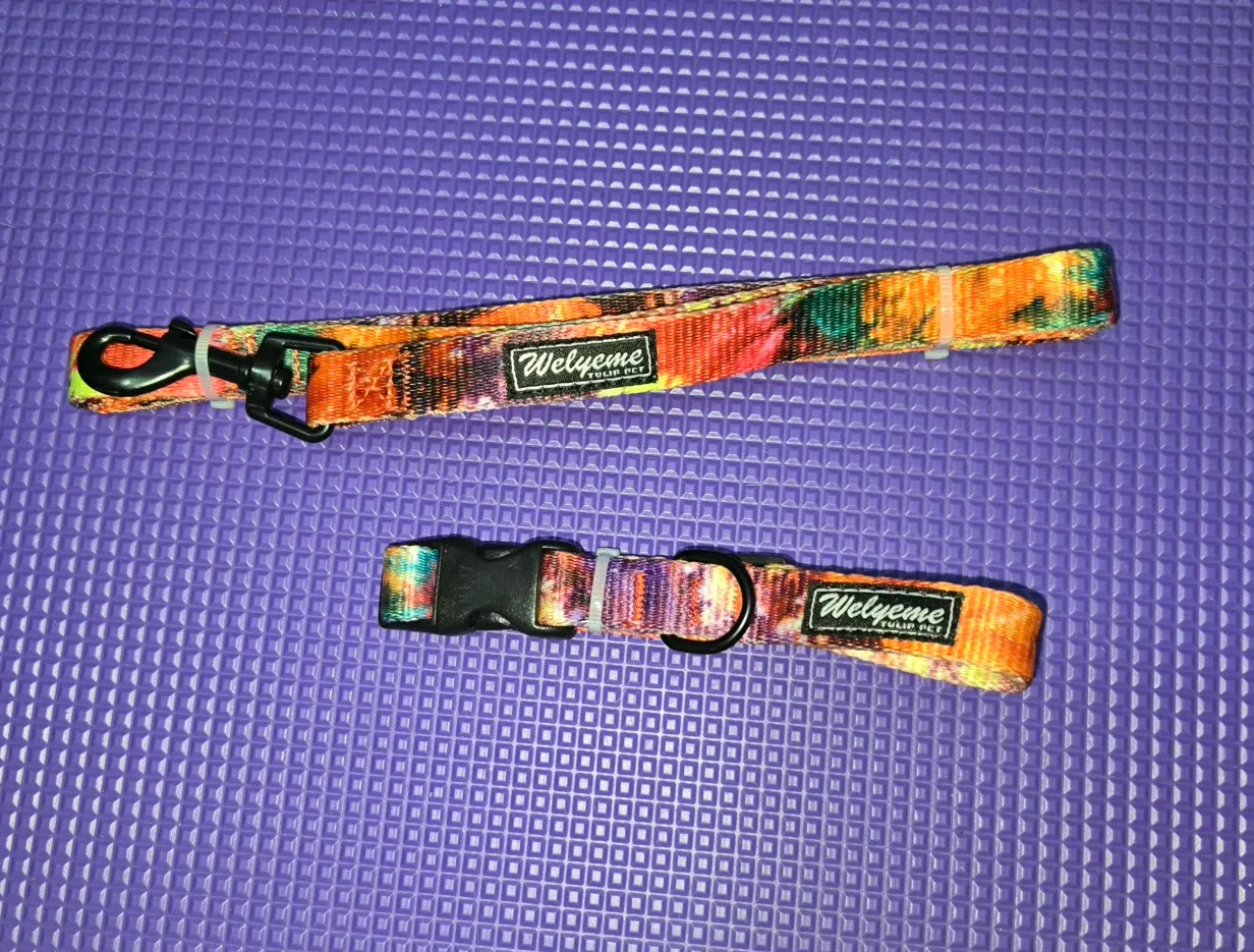 Wolyone Tie-dye Dog Leash & Collar Set, Size XS image indicator(7)