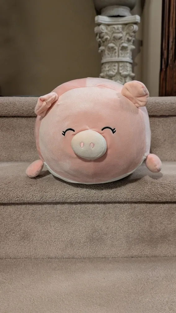 Chonky Pig Stuffie