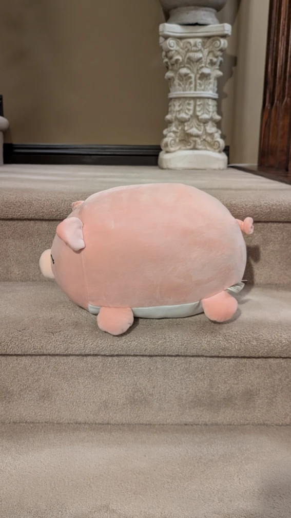 Chonky Pig Stuffie - photo 2