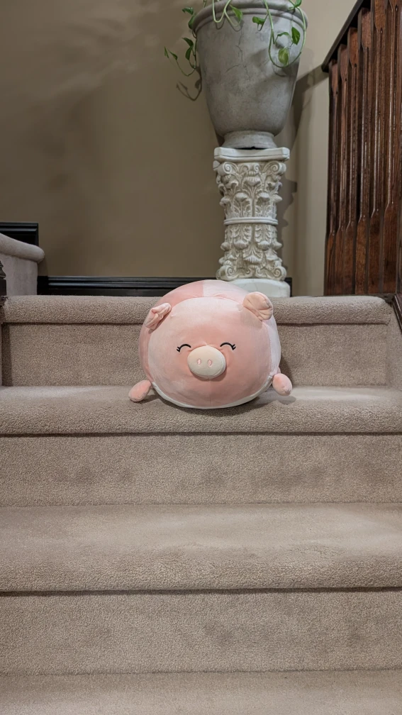 Chonky Pig Stuffie - photo 3