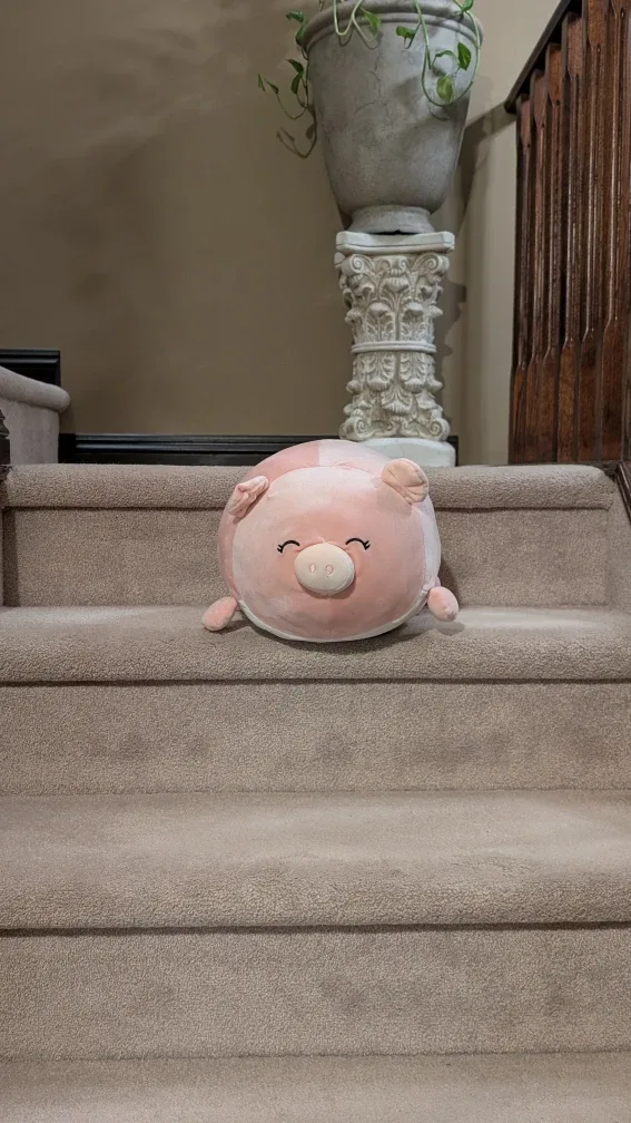 Chonky Pig Stuffie image indicator(3)