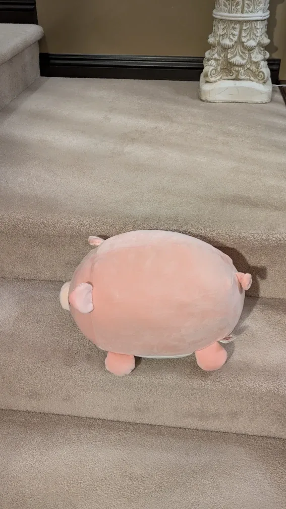Chonky Pig Stuffie image indicator(4)
