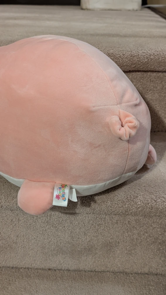 Chonky Pig Stuffie - photo 5