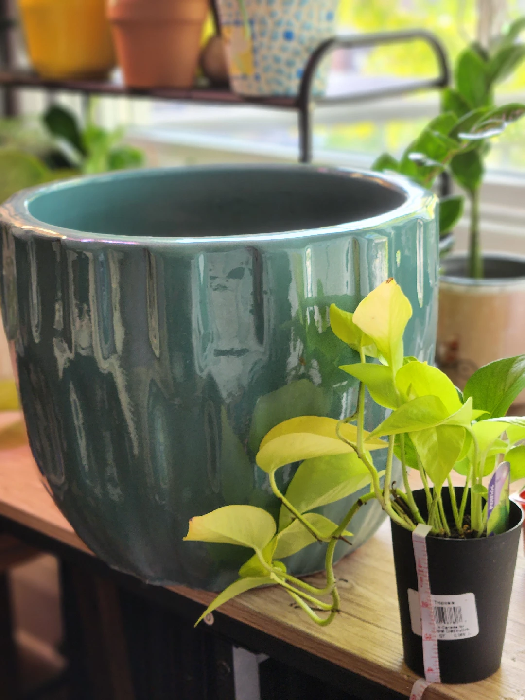 Large Teal Ceramic Plant Pot