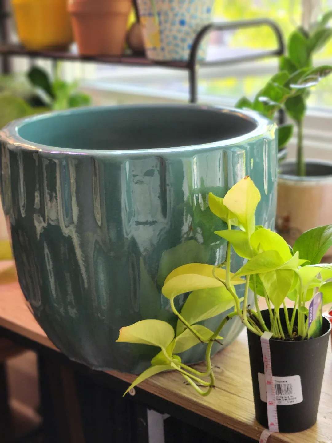 Large Teal Ceramic Plant Pot