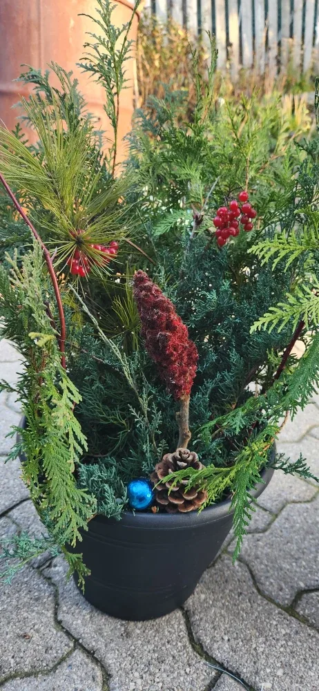 Outdoor Winter Planter image indicator(4)