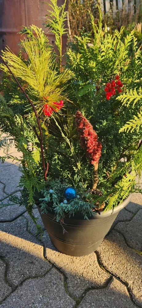 Outdoor Winter Planter image indicator(5)