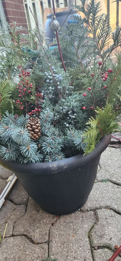 Outdoor Winter Planter image indicator(6)