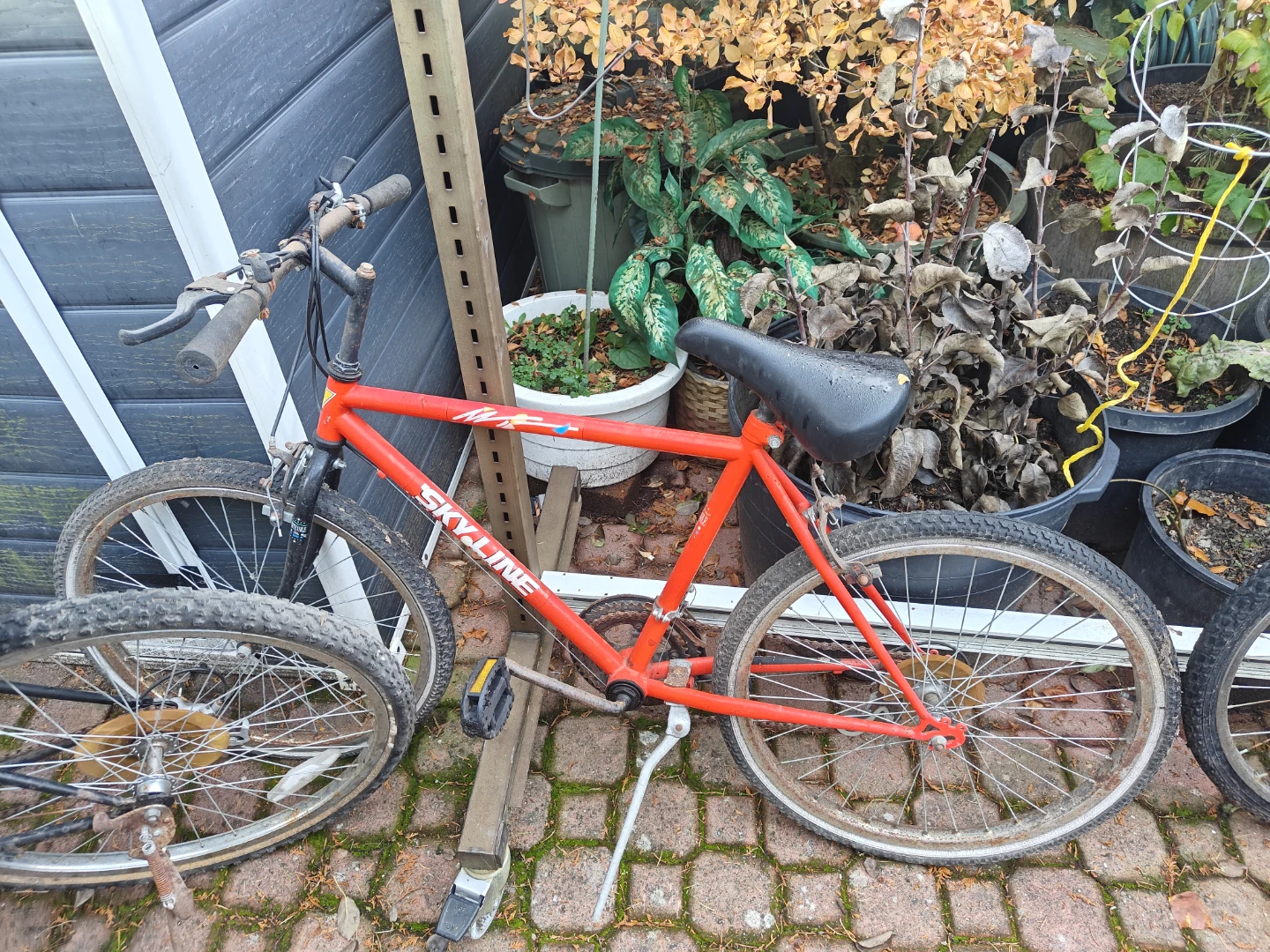 Skyline Red Mountain Bike
