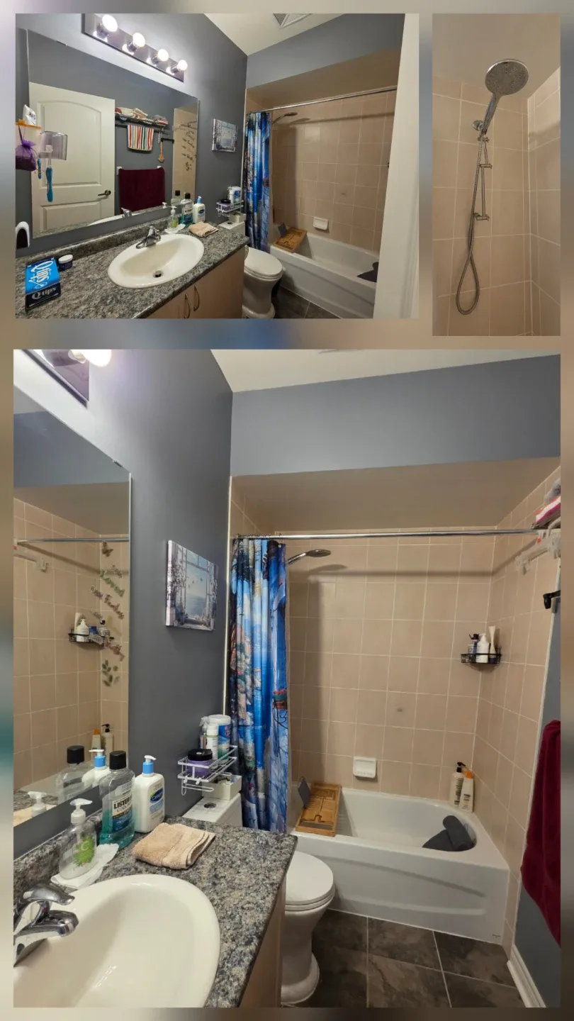 Private room + private bath in 2BR condo unit image indicator(3)