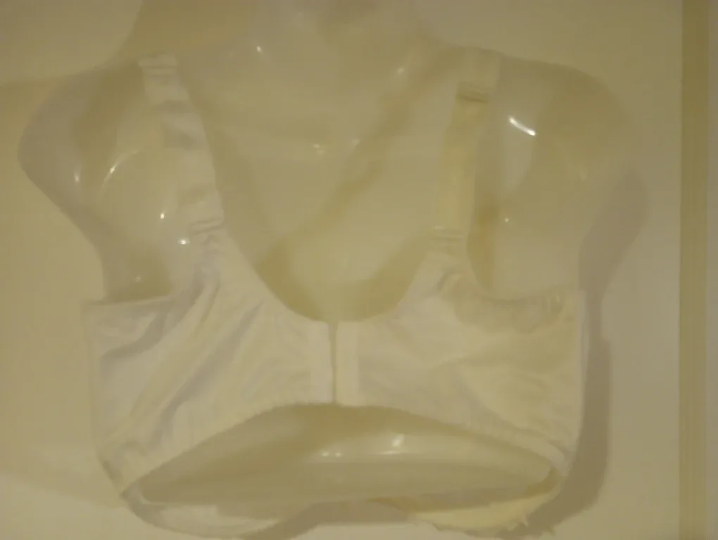 Worn Once Empreinte 36G White Lace Bra image indicator(4)