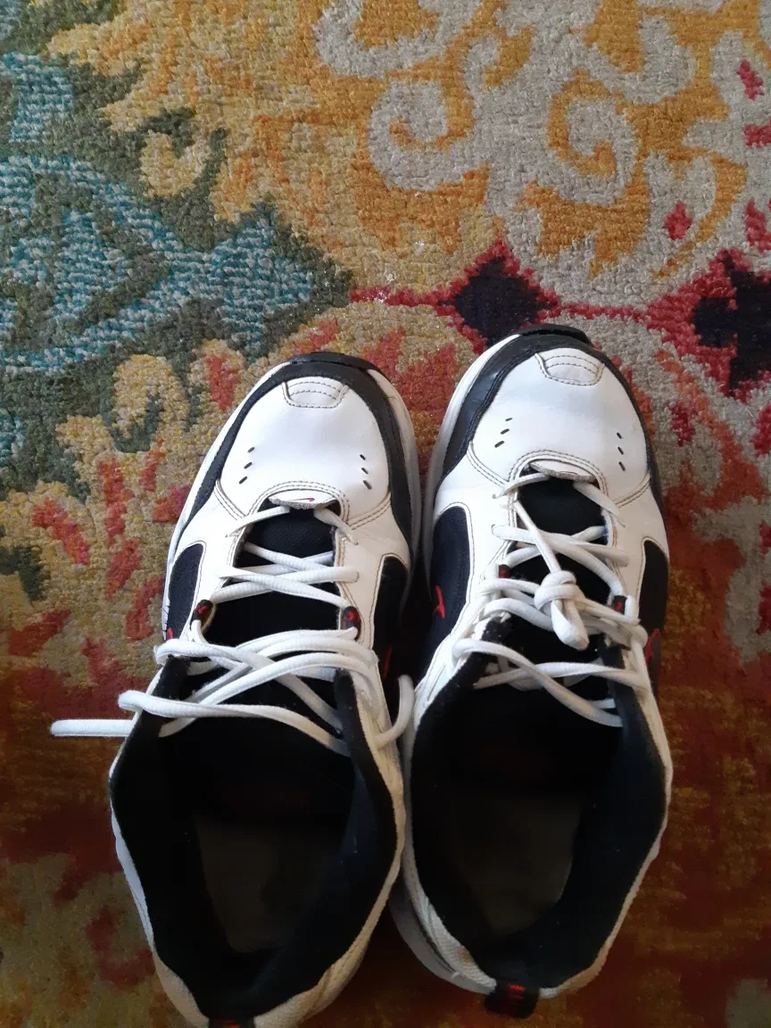 Nike Air Monarch IV - US 9.5