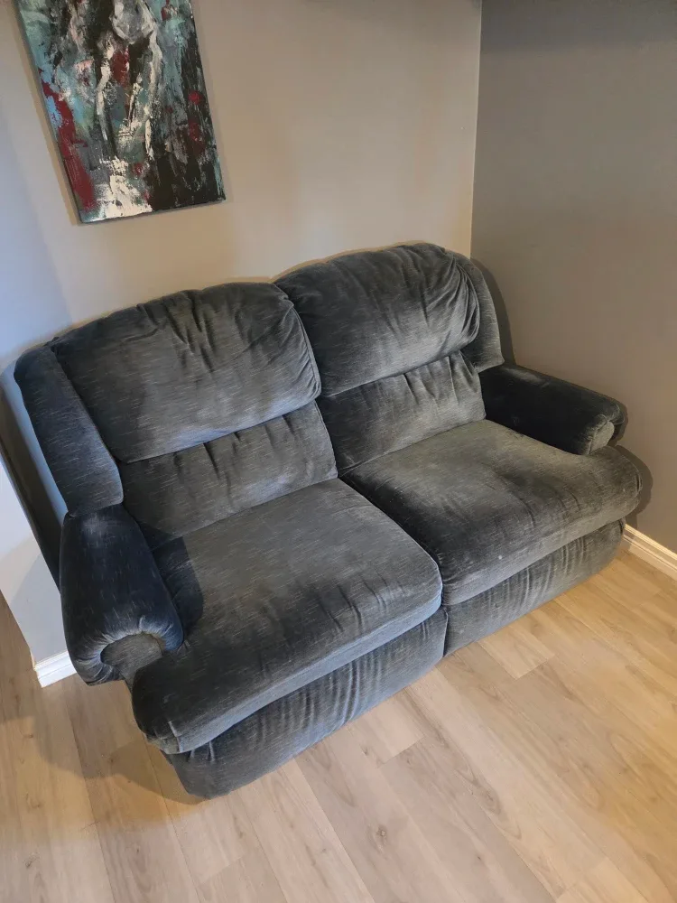 Blue Dual-Reclining Loveseat 🥕 image indicator(2)