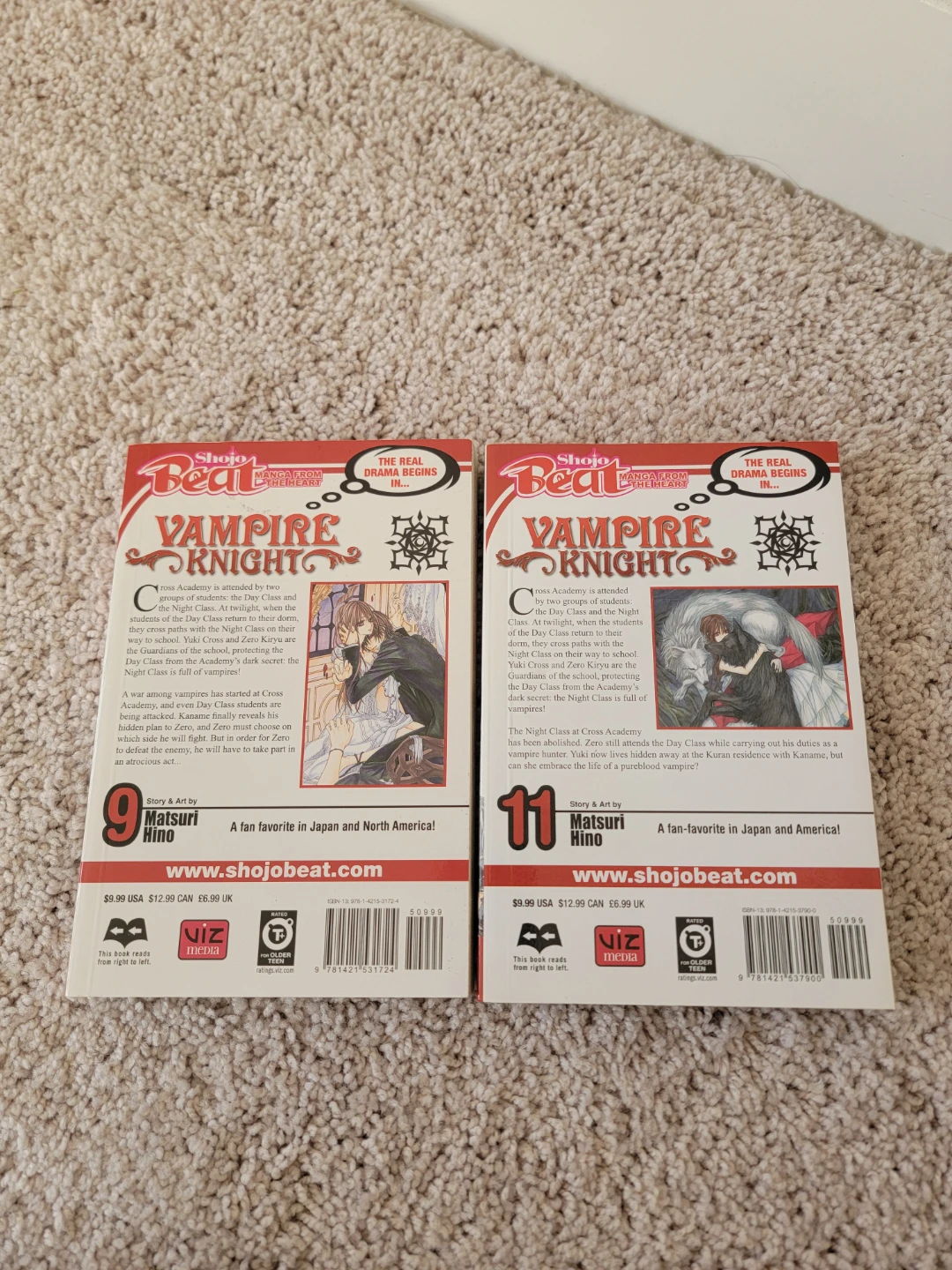 Vampire Knight Manga - photo 2