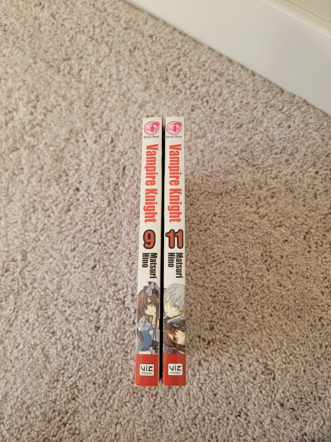 Vampire Knight Manga - photo 3