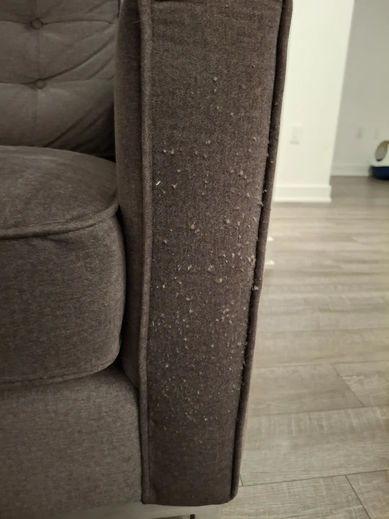 Grey Loveseat Sofa - Gently Used - photo 2