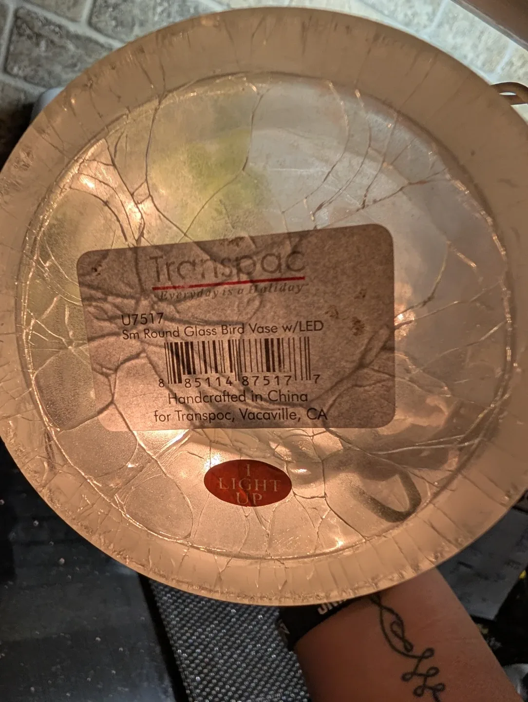 8" Transpac Sm Round Glass Bird Vase w/LED image indicator(4)