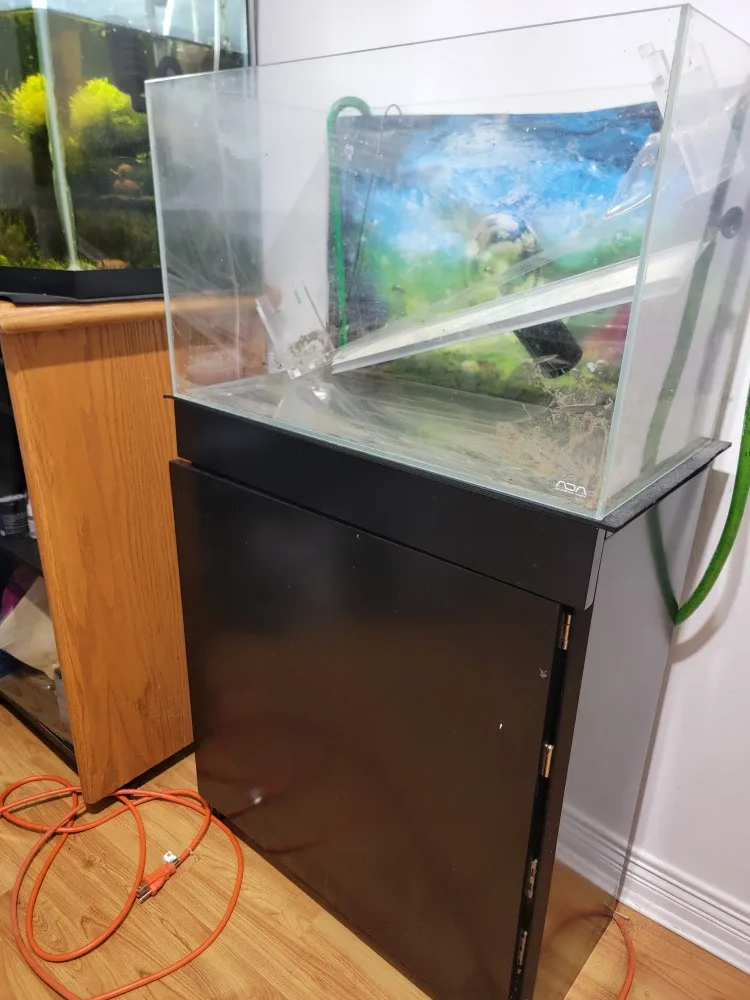 ADA Aqua Design Amano Aquarium Tank