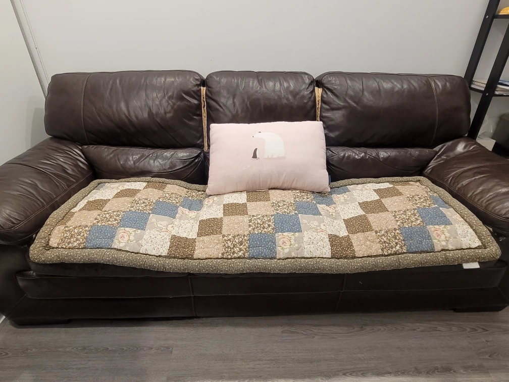 (FREE) Brown Leather Sofa