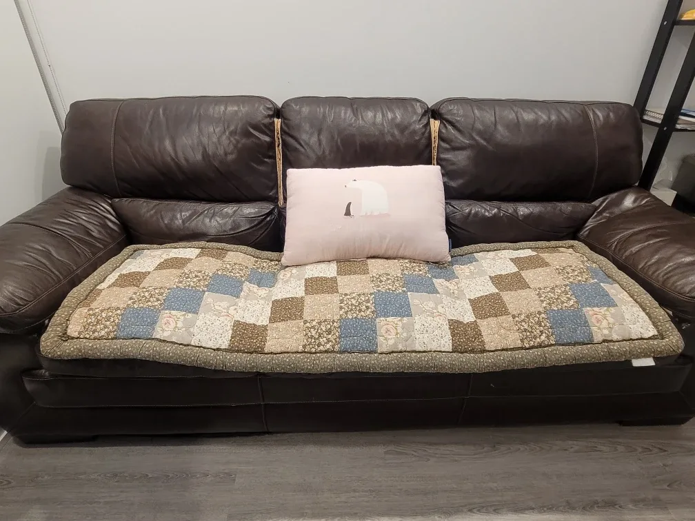 (FREE) Brown Leather Sofa