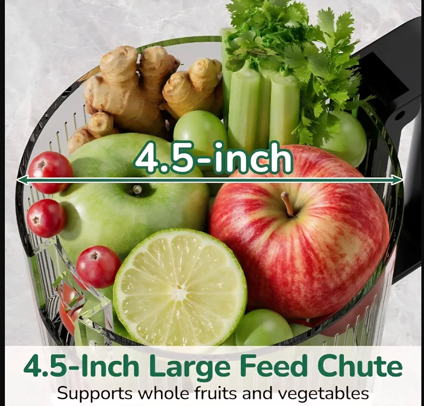 Canoly Cold Press Slow Masticating Juicer image indicator(2)