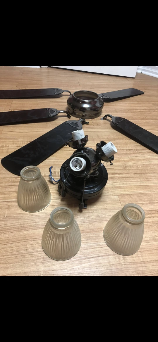 Ceiling Fan with Blades & Light Fixture