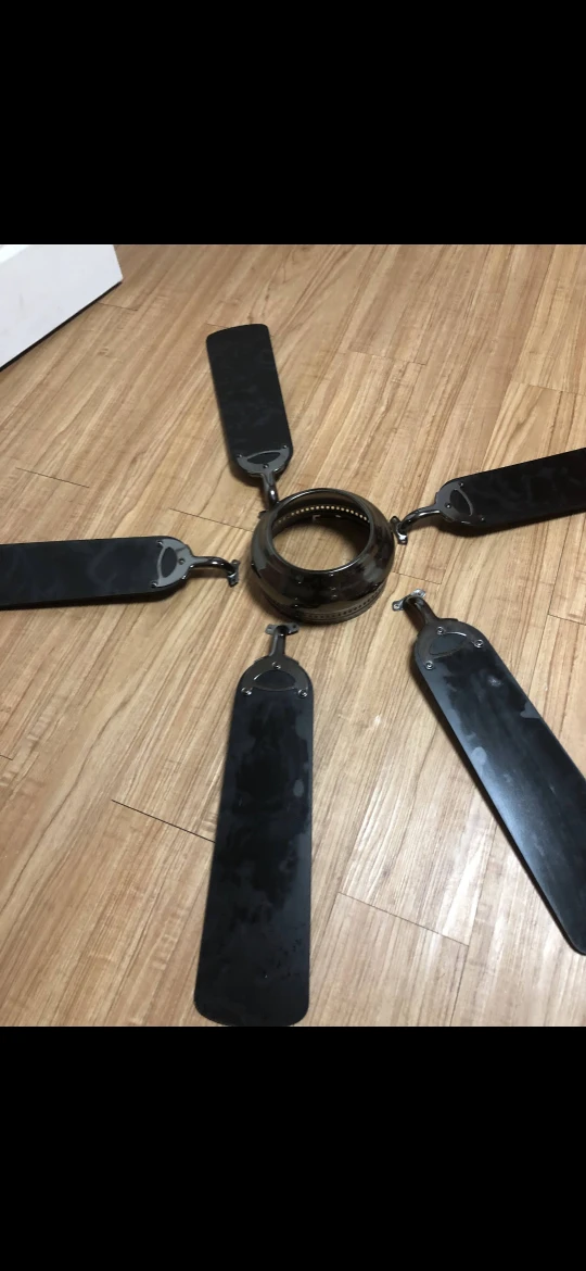 Ceiling Fan with Blades & Light Fixture - photo 4
