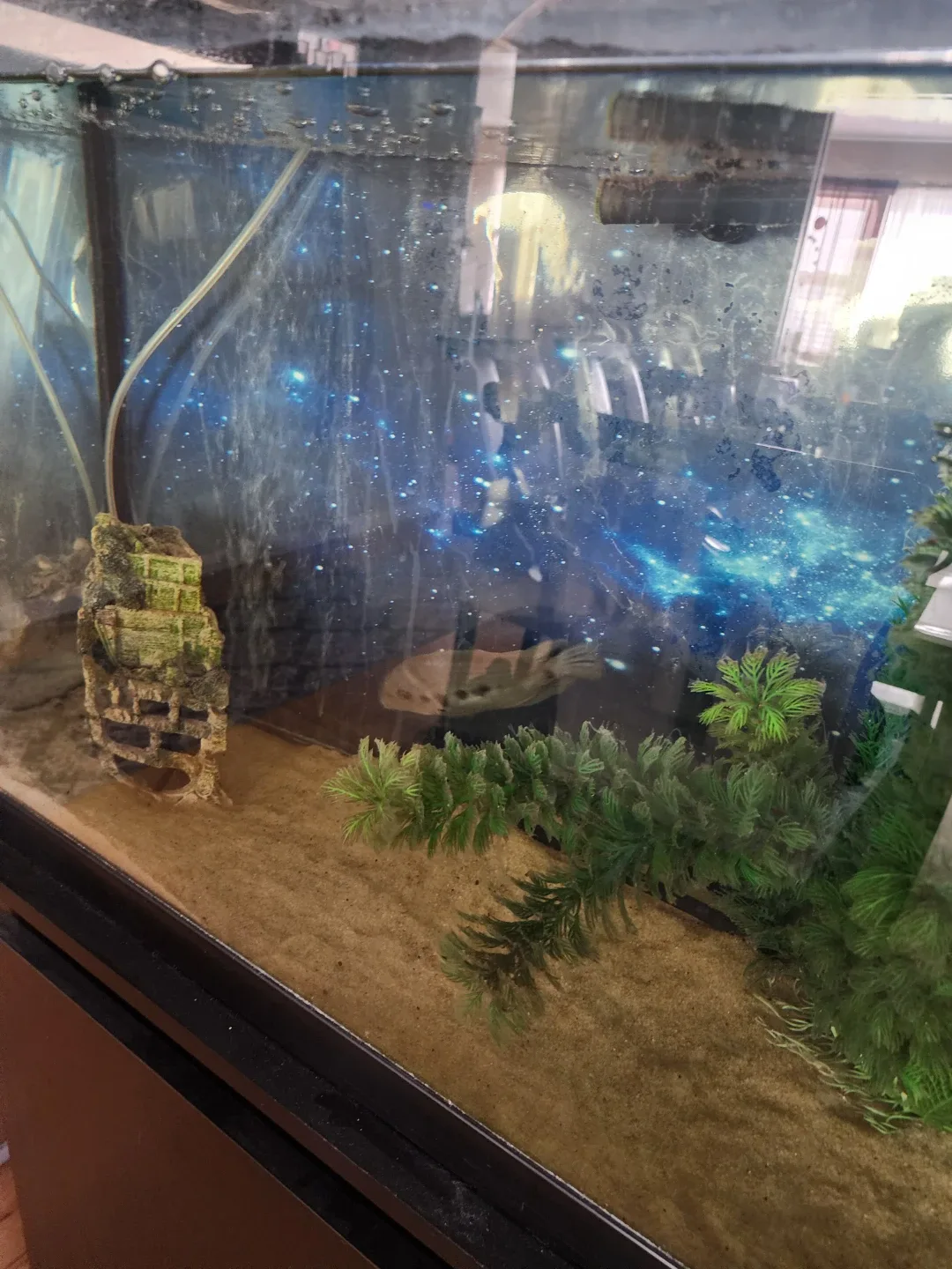 Aquarium / Fish tank with All Needed Accessories image indicator(2)