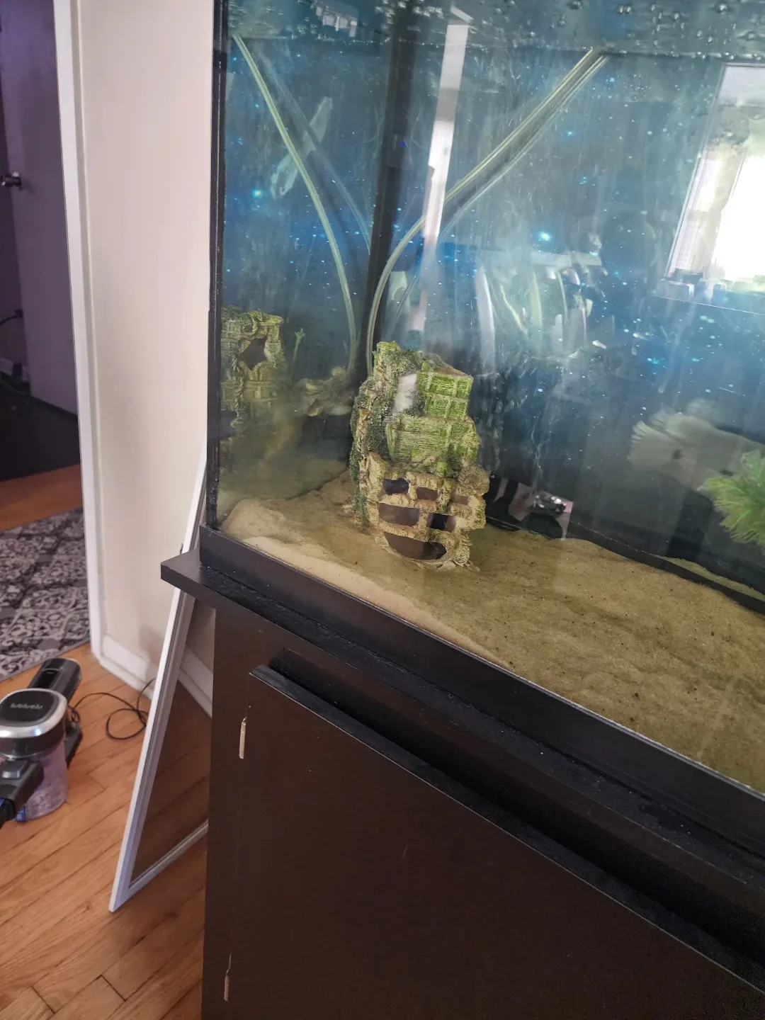 Aquarium / Fish tank with All Needed Accessories image indicator(3)