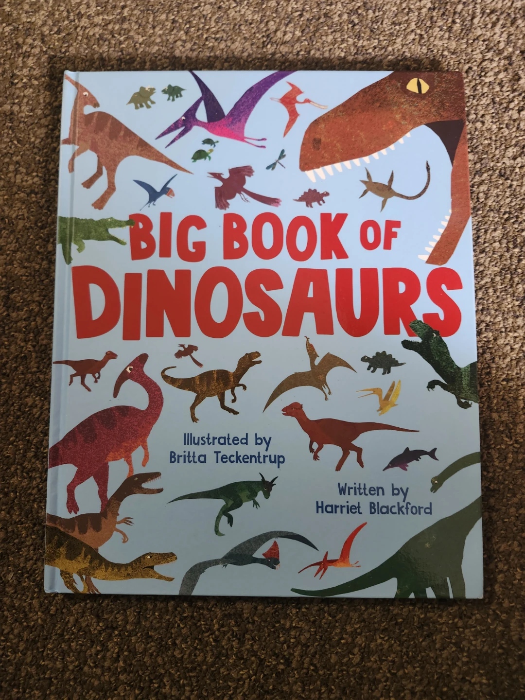 I Can Read! Level 1 Books & Big Book of Dinosaurs - photo 3