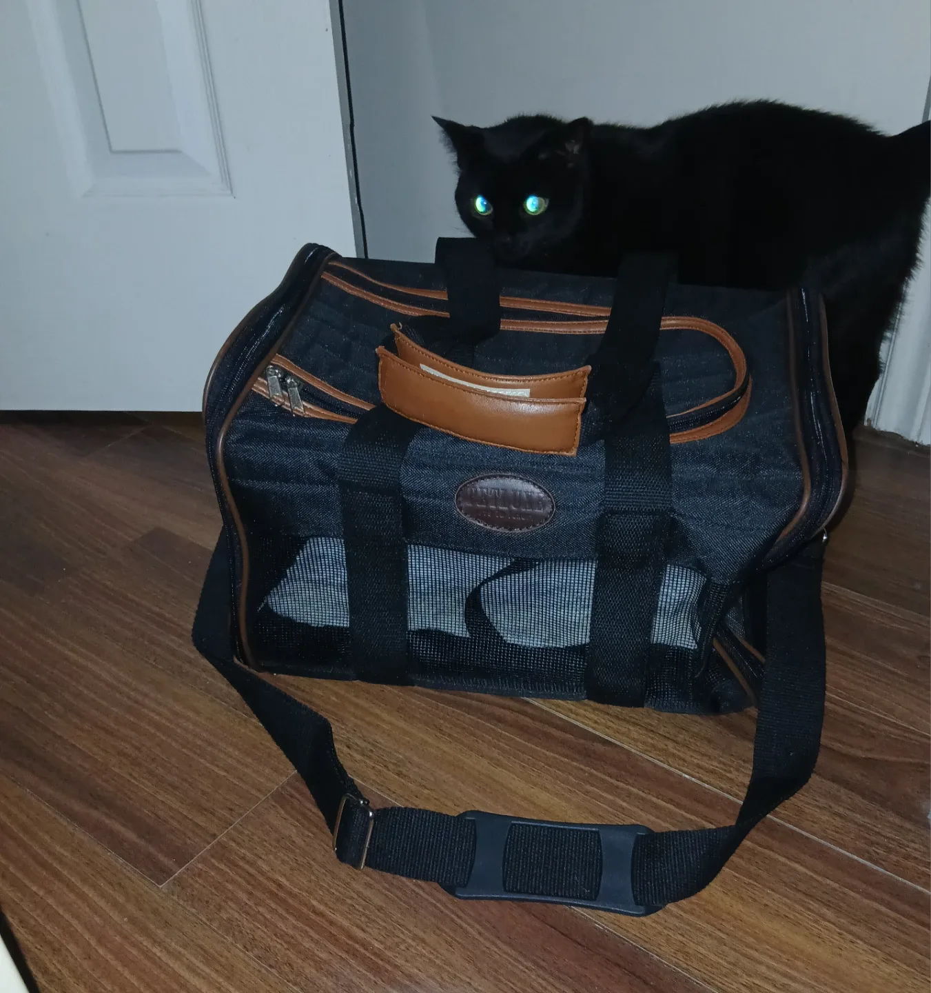 Black Pet Carrier Bag
