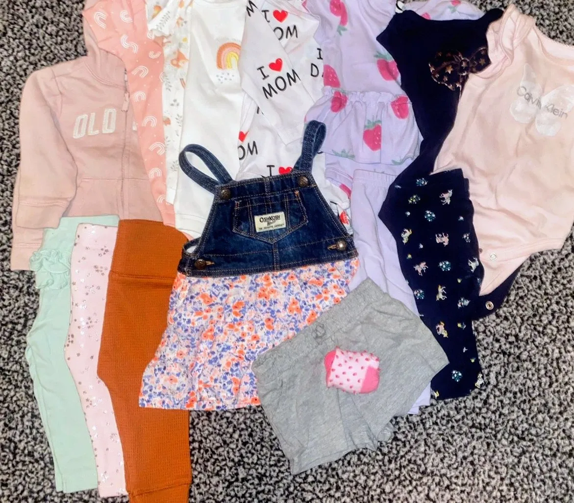 Baby Girl Clothing Bundle