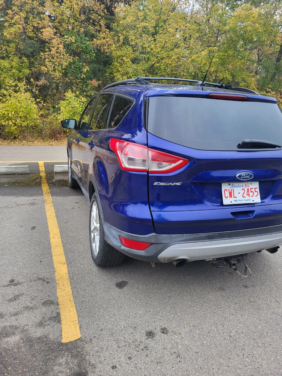 2013 Ford Escape - Blue image indicator(2)
