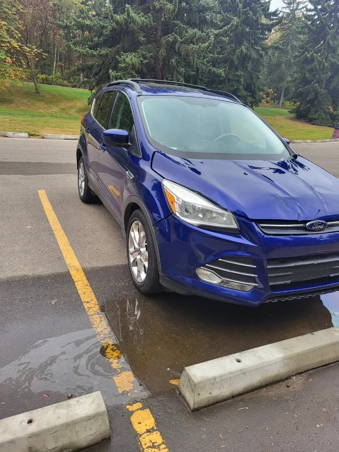 2013 Ford Escape - Blue image indicator(4)