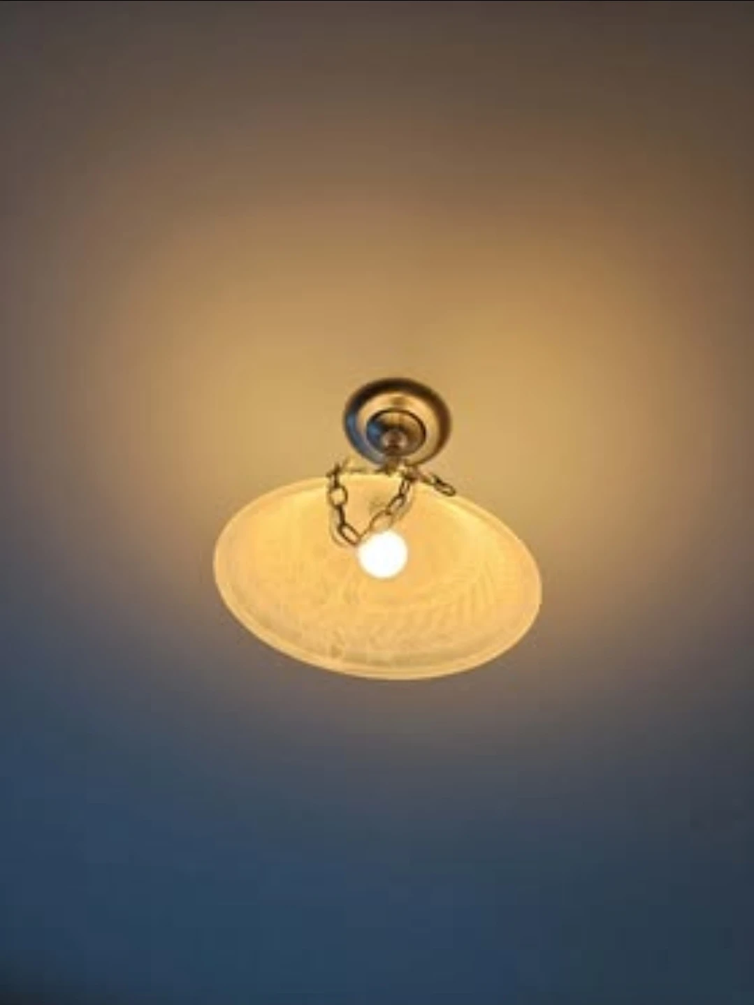 Ceiling Light Fixture