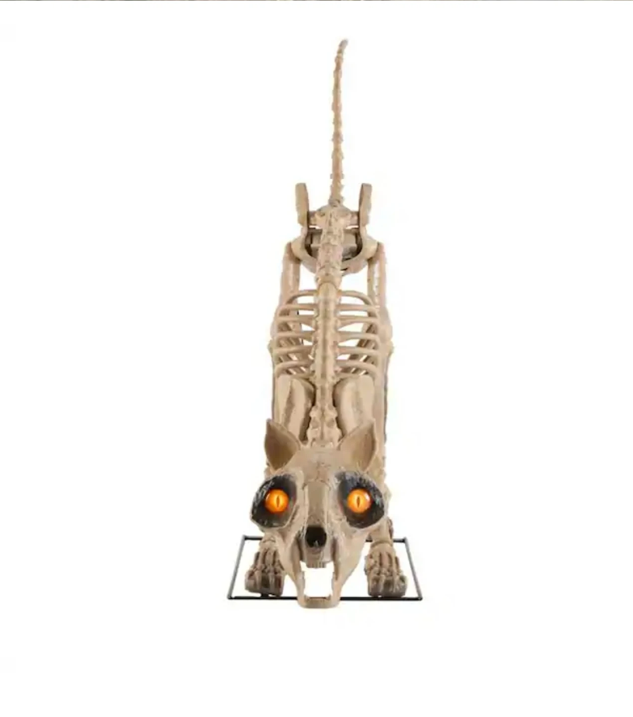 Home Accents Holiday 5ft Grave & Bones LED Skelly's Cat - photo 2