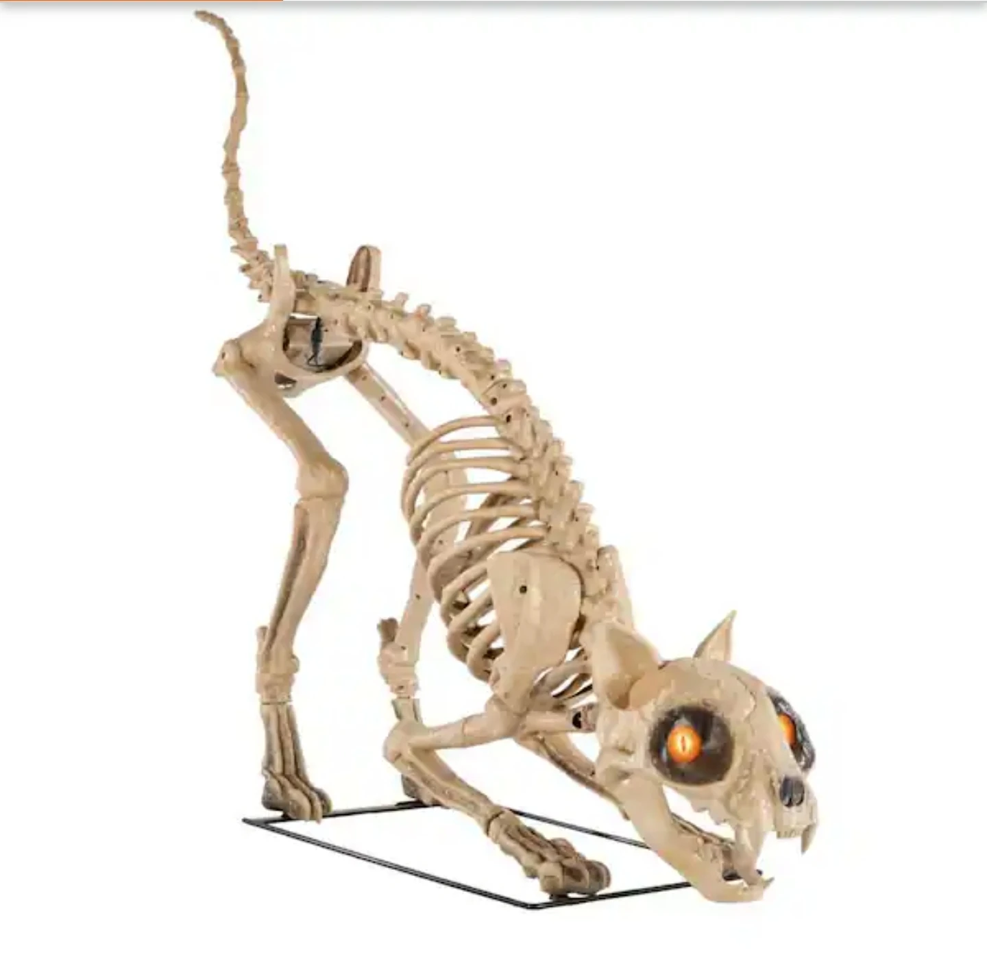 Home Accents Holiday 5ft Grave & Bones LED Skelly's Cat - photo 3