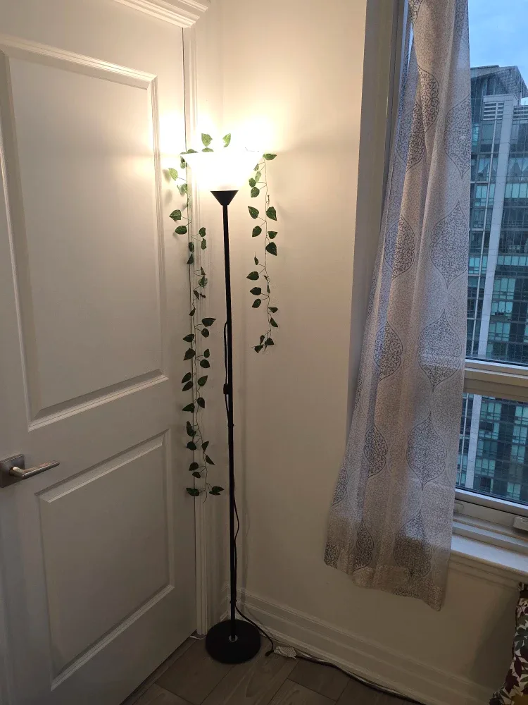 Starfrit Personal Blender . Lamp. And toaster