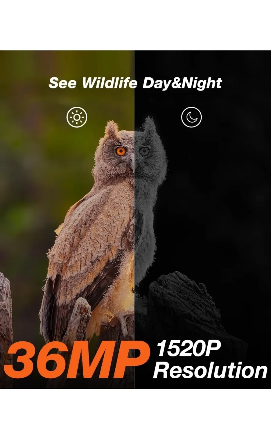 New iZEEKER Trail Camera 2.7K/1520P 30fps 36MP image indicator(4)