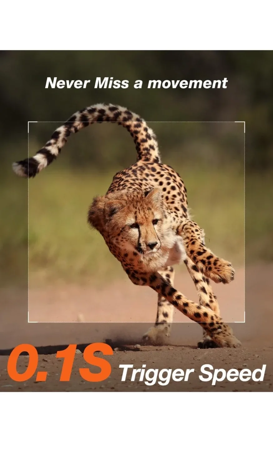 New iZEEKER Trail Camera 2.7K/1520P 30fps 36MP image indicator(5)