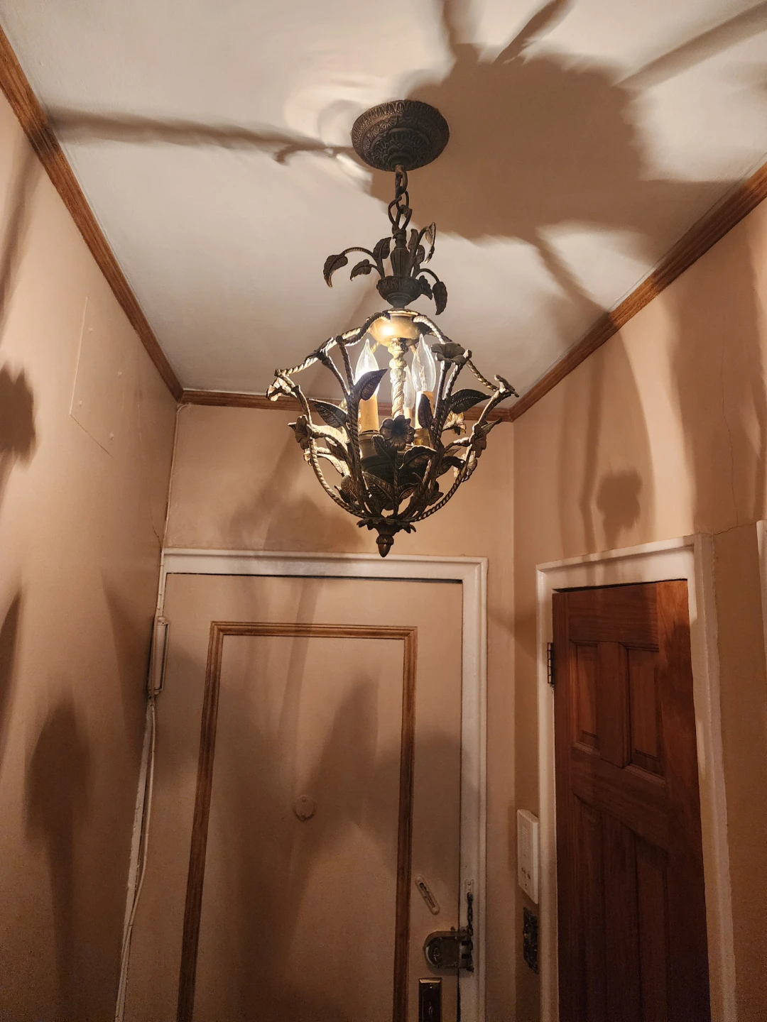 Vintage Floral Chandelier - photo 4