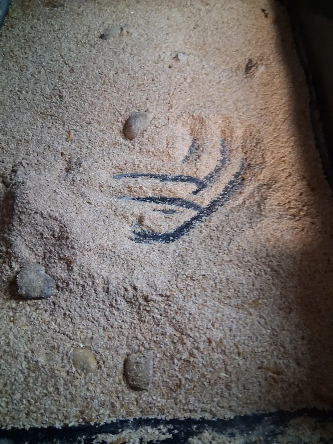 Live Mealworms image indicator(3)