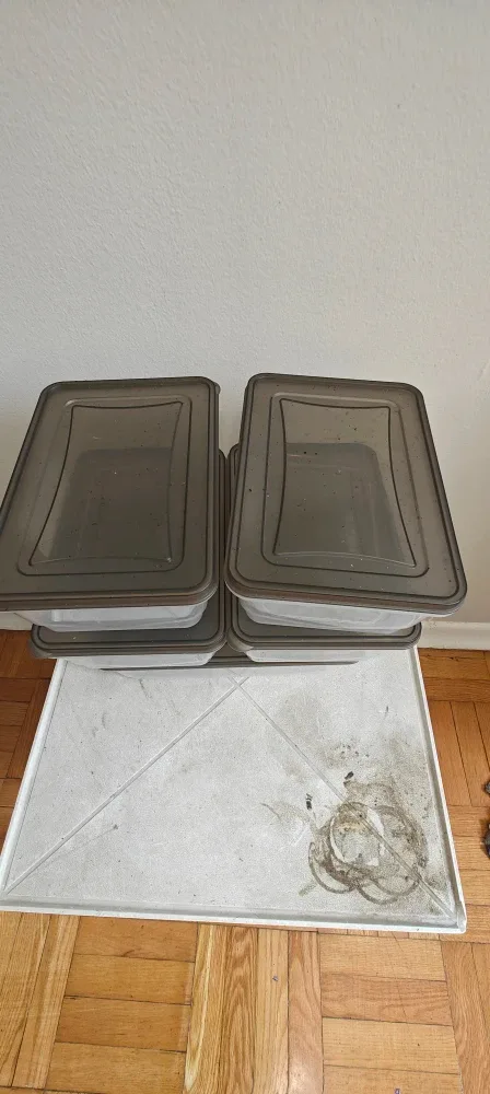 Set of 6 Grey Lid Food Storage Containers image indicator(6)