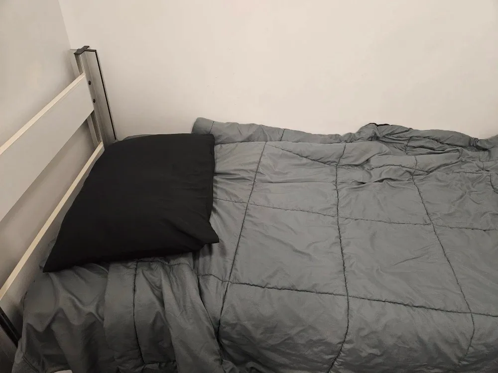 Mainstays 5-Piece Plaid Comforter Set (Twin) & Sealy Pillow