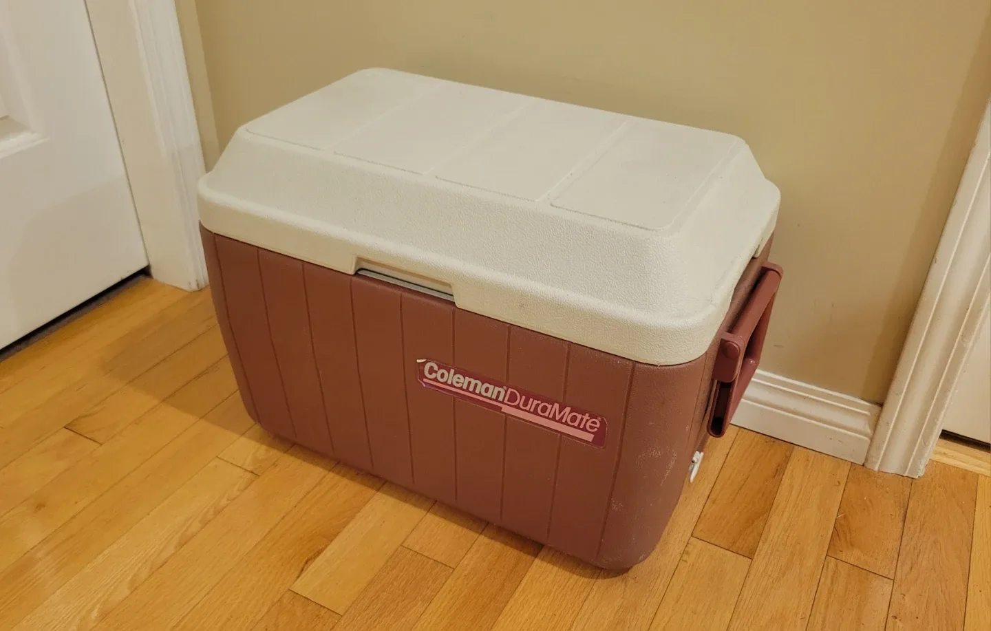 Rare Vintage Collectable Large 48 Quart Coleman Duramate Cooler