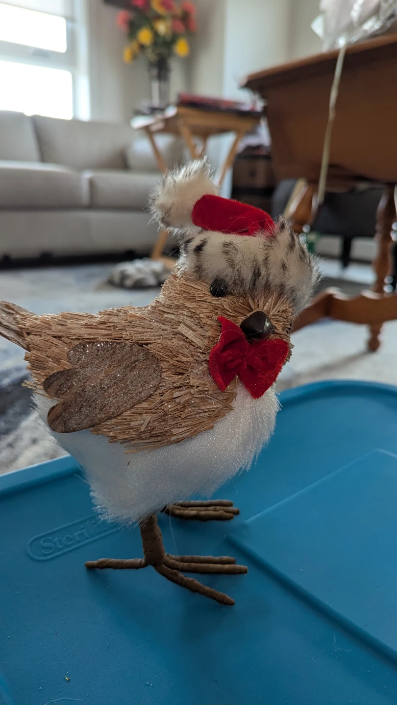 Festive Holiday Decor - photo 3